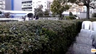 《色戒2小时38分在线观看》高清免费在线观看-大陆剧